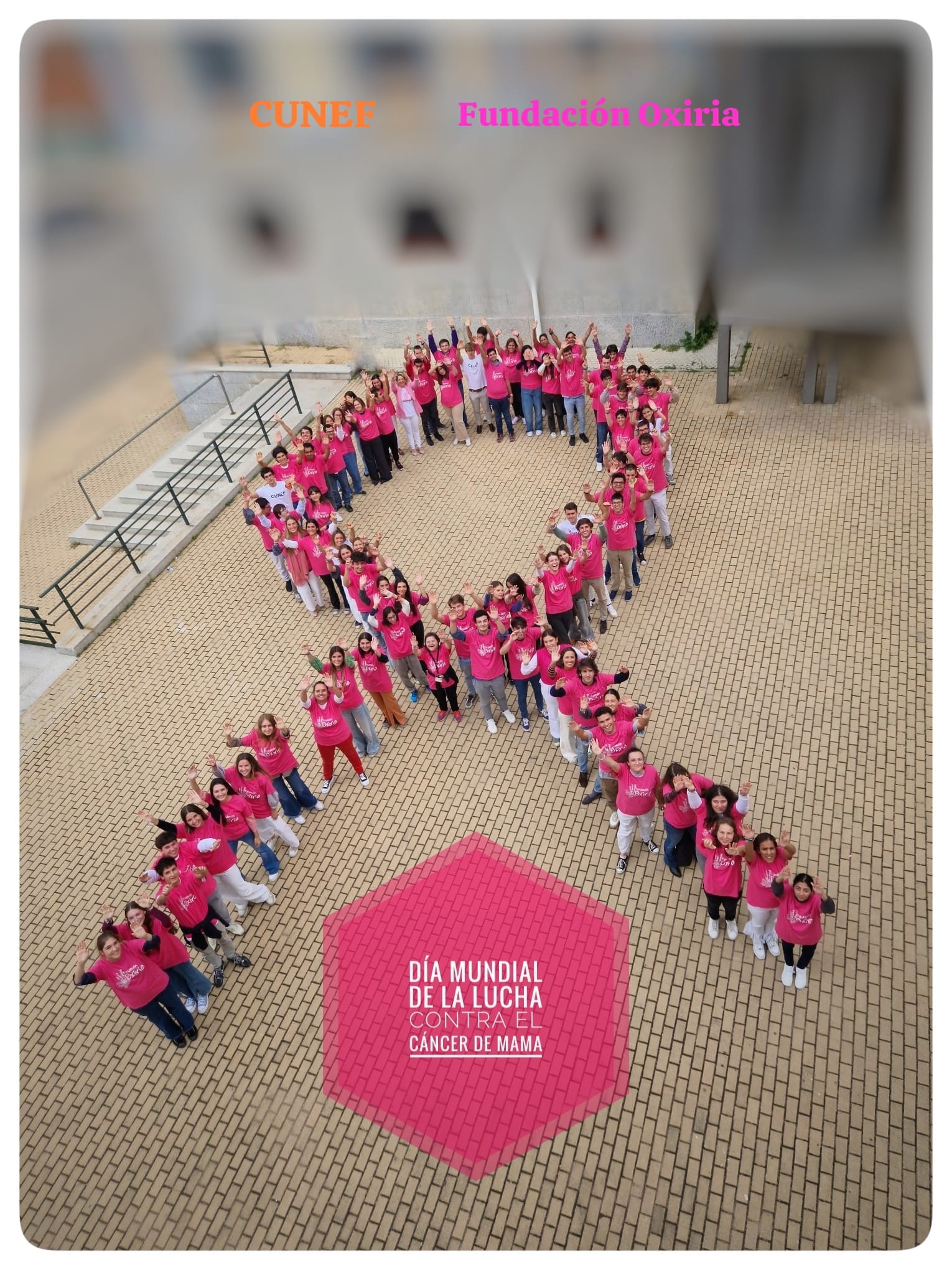 lucha contra el cancer de mama.